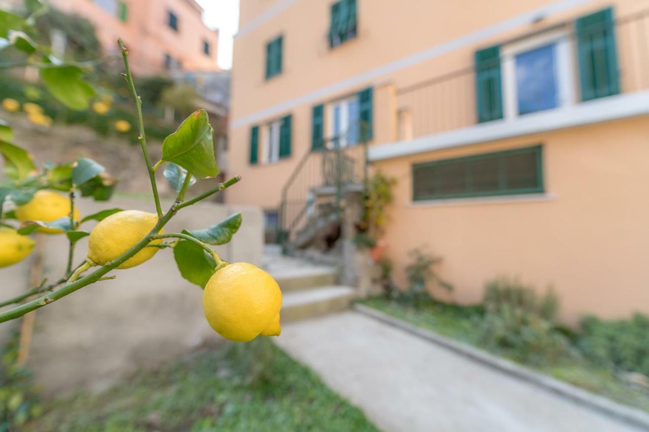 Il Giardino Di リオマッジョーレ エクステリア 写真